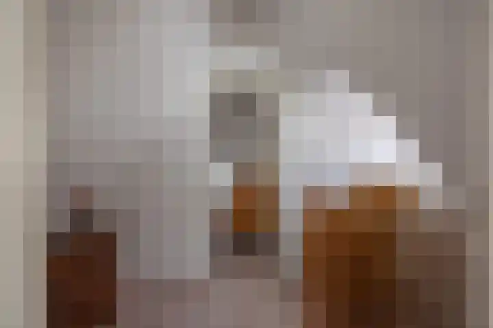 De Hoek 1 a Feanwâlden thumbnail 31