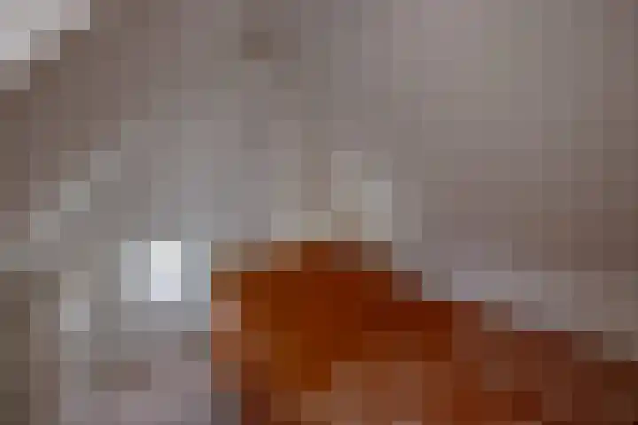 De Hoek 1 a Feanwâlden thumbnail 35
