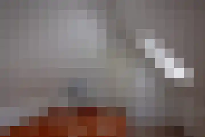 De Hoek 1 a Feanwâlden thumbnail 36