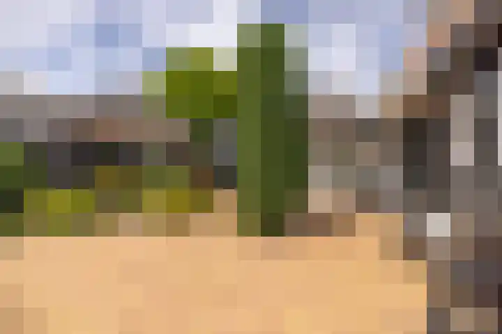 De Hoek 1 a Feanwâlden thumbnail 37