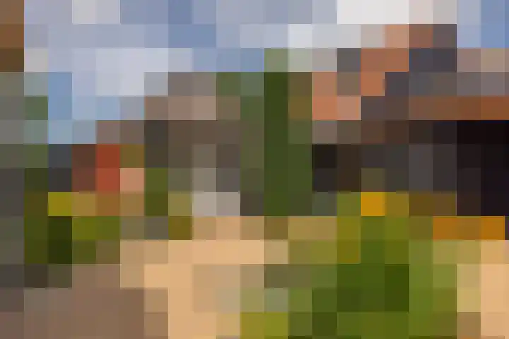 De Hoek 1 a Feanwâlden thumbnail 38