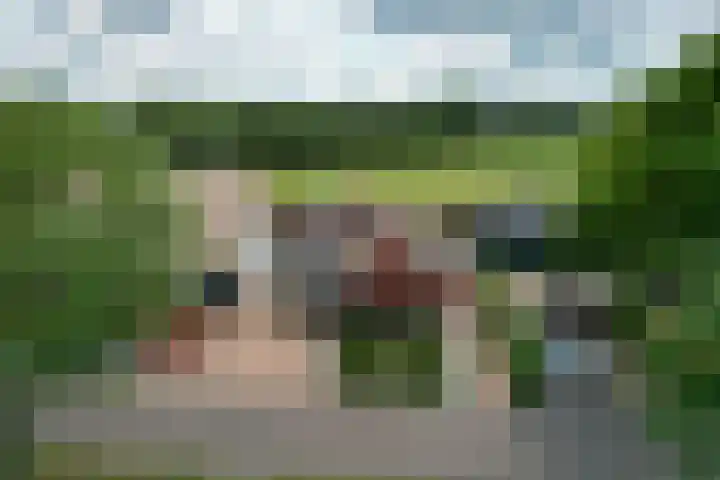 De Hoek 1 a Feanwâlden thumbnail 4