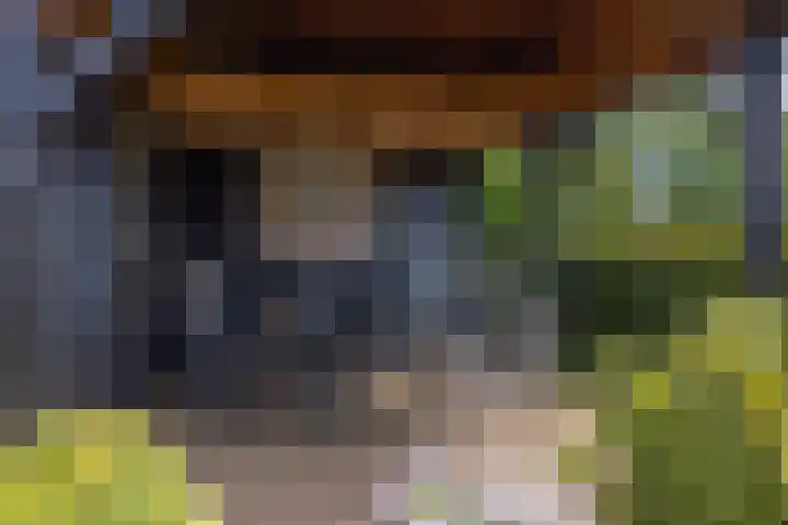 De Hoek 1 a Feanwâlden thumbnail 41