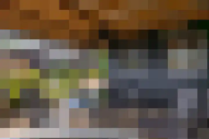 De Hoek 1 a Feanwâlden thumbnail 42