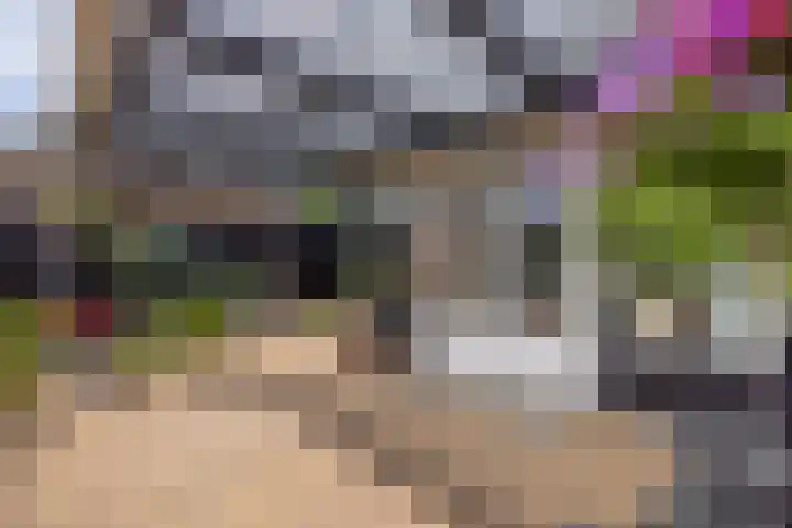 De Hoek 1 a Feanwâlden thumbnail 45