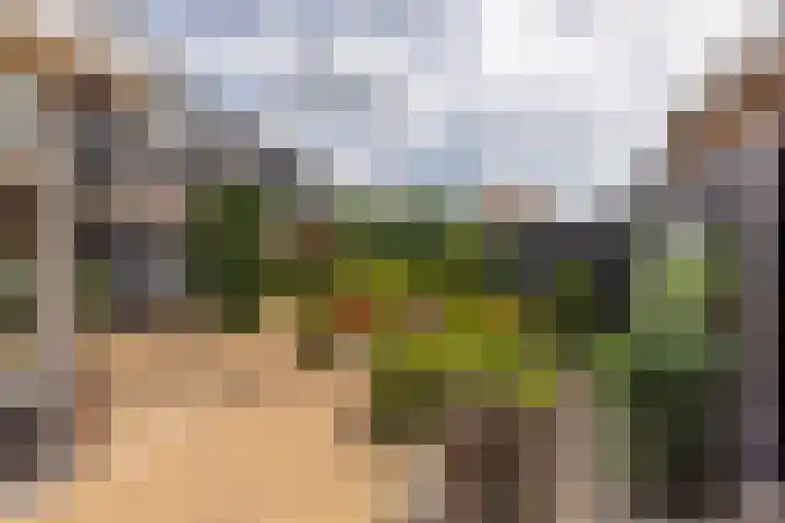 De Hoek 1 a Feanwâlden thumbnail 46