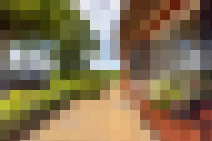 De Hoek 1 a Feanwâlden thumbnail 47