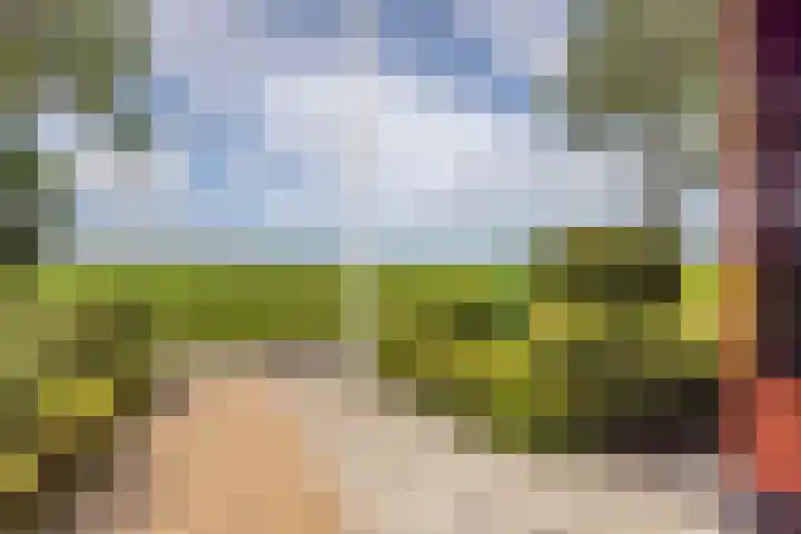 De Hoek 1 a Feanwâlden thumbnail 48