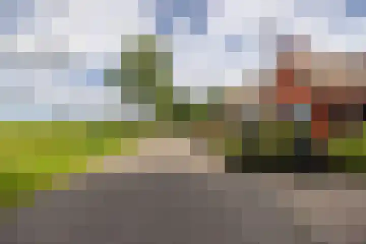 De Hoek 1 a Feanwâlden thumbnail 50