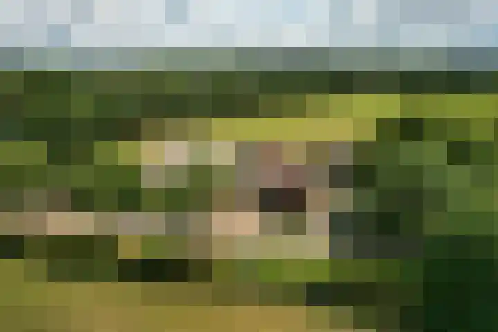 De Hoek 1 a Feanwâlden thumbnail 54