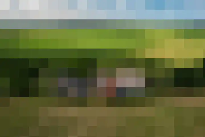 De Hoek 1 a Feanwâlden thumbnail 56