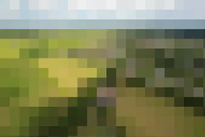 De Hoek 1 a Feanwâlden thumbnail 57