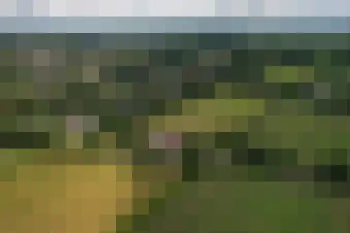 De Hoek 1 a Feanwâlden thumbnail 58