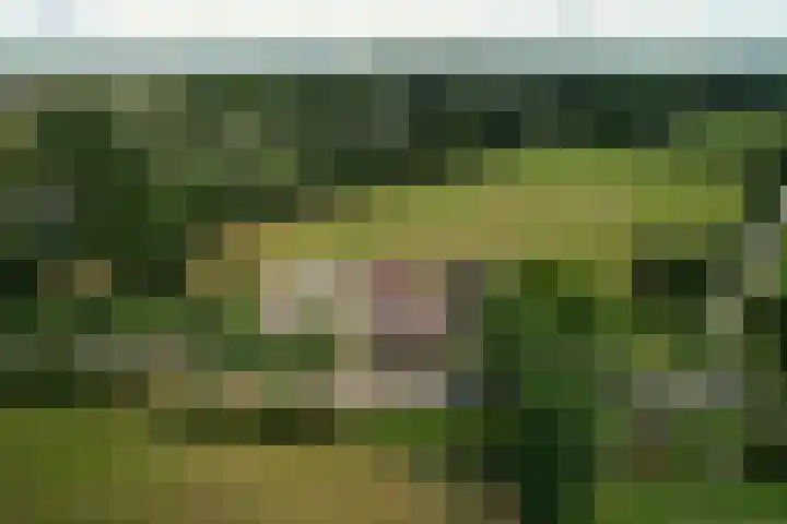 De Hoek 1 a Feanwâlden thumbnail 59