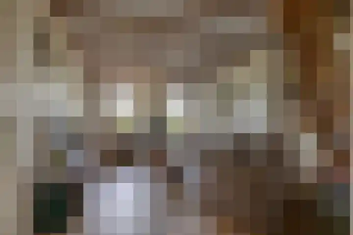 De Hoek 1 a Feanwâlden thumbnail 7