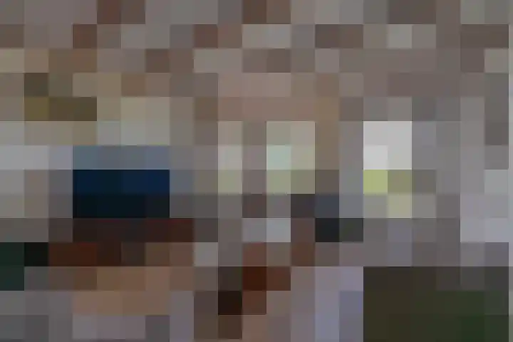 De Hoek 1 a Feanwâlden thumbnail 8
