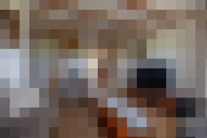 De Hoek 1 a Feanwâlden thumbnail 9