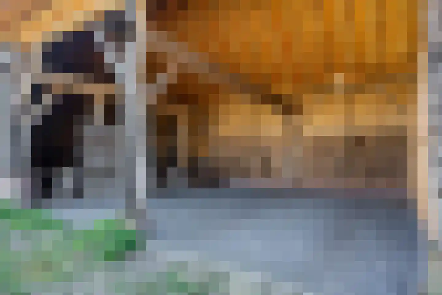 De Hoek 1 Erm thumbnail 60