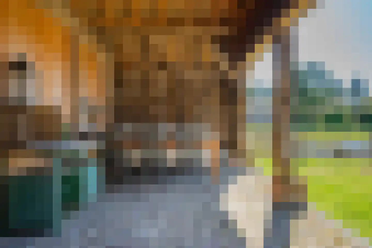 De Hoek 1 Erm thumbnail 64