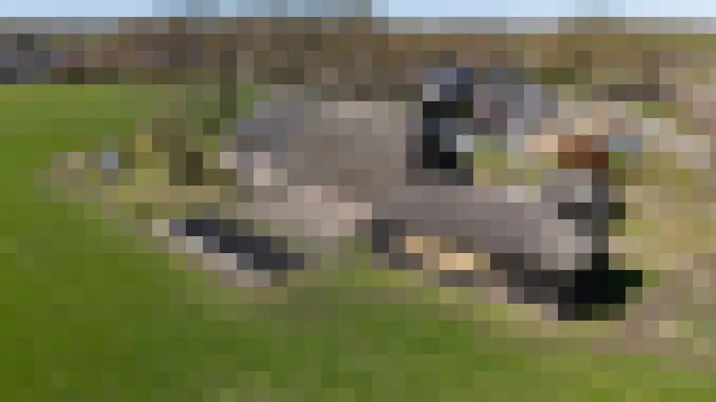 De Hoek 1 Erm thumbnail 70