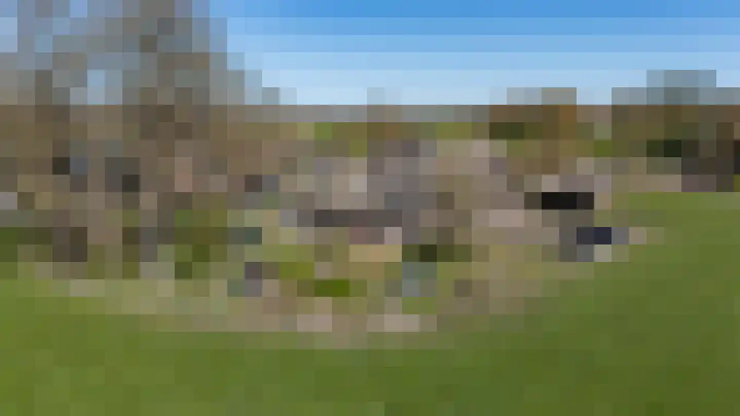 De Hoek 1 Erm thumbnail 71