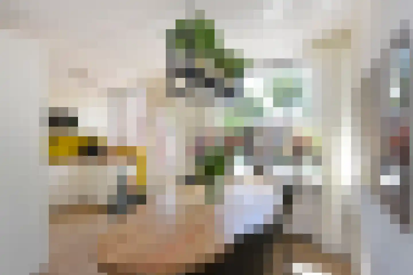 De Hoek 11 Nieuwkoop thumbnail 10