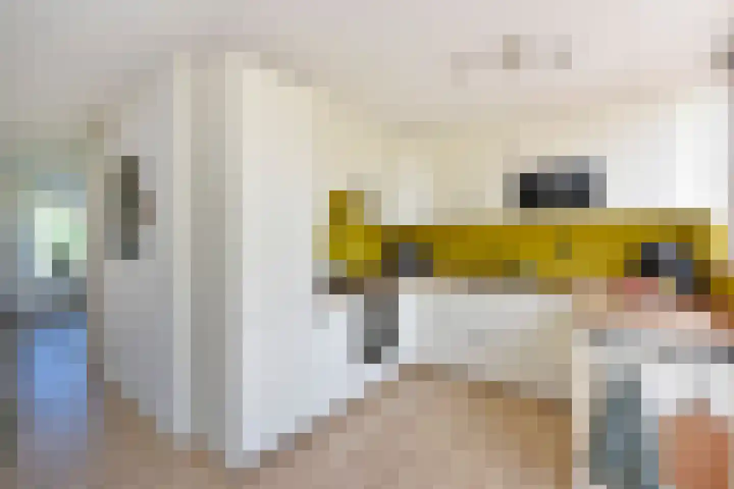 De Hoek 11 Nieuwkoop thumbnail 11