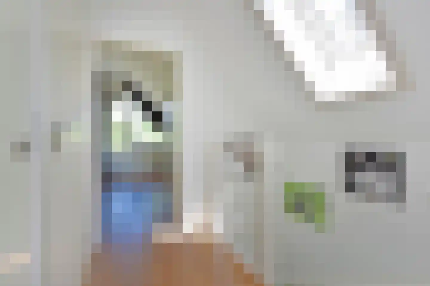 De Hoek 11 Nieuwkoop thumbnail 16