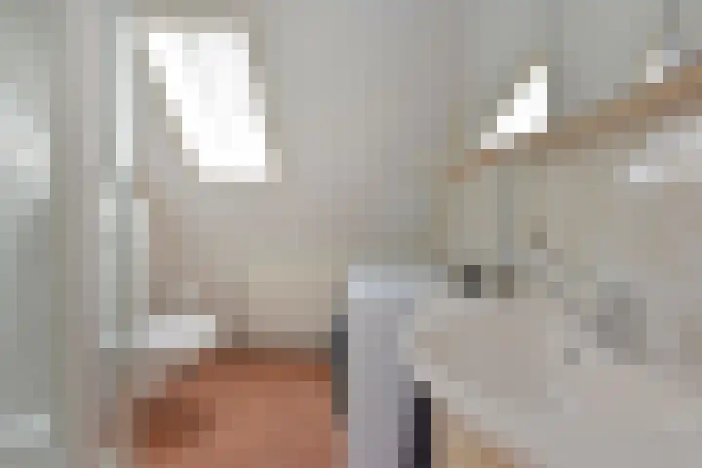 De Hoek 11 Nieuwkoop thumbnail 17