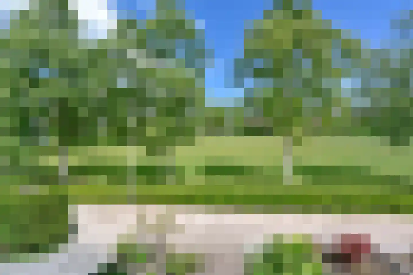 De Hoek 11 Nieuwkoop thumbnail 19