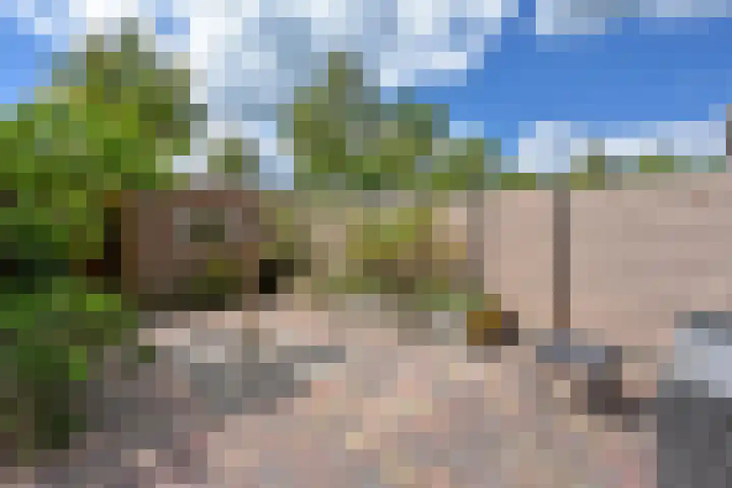 De Hoek 11 Nieuwkoop thumbnail 4