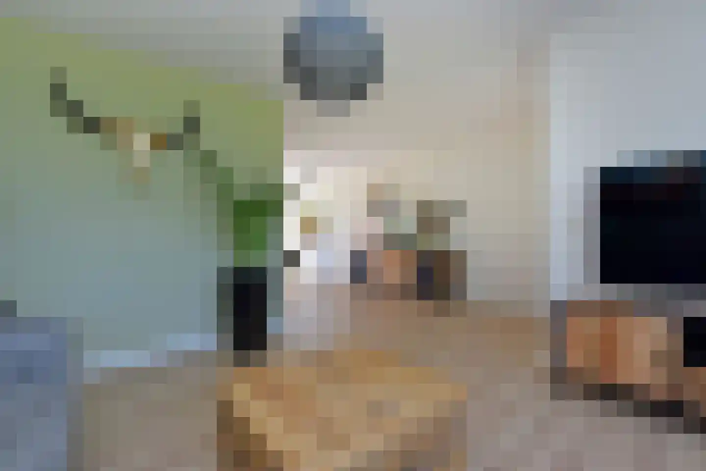 De Hoek 11 Nieuwkoop thumbnail 5