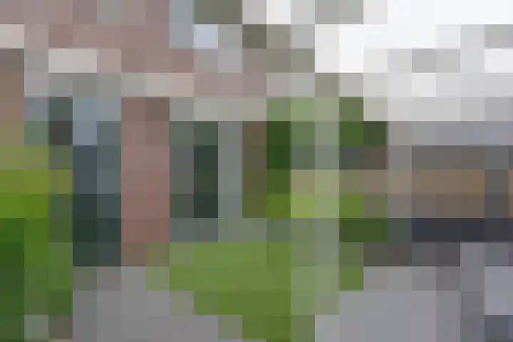 De Hoek 13 Nieuwkoop thumbnail 19