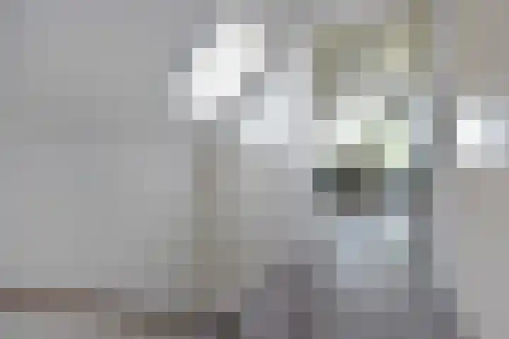 De Hoek 13 Nieuwkoop thumbnail 23