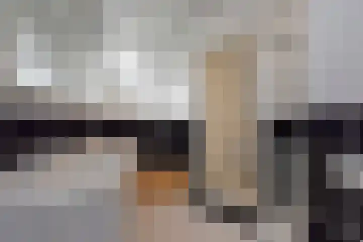 De Hoek 13 Nieuwkoop thumbnail 26
