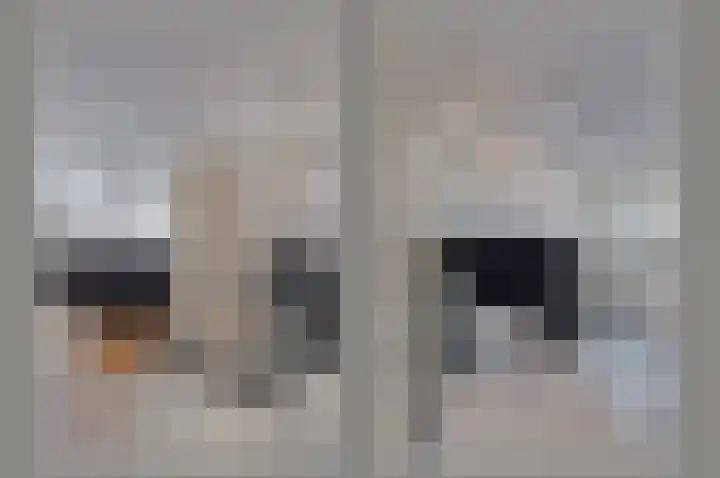 De Hoek 13 Nieuwkoop thumbnail 27