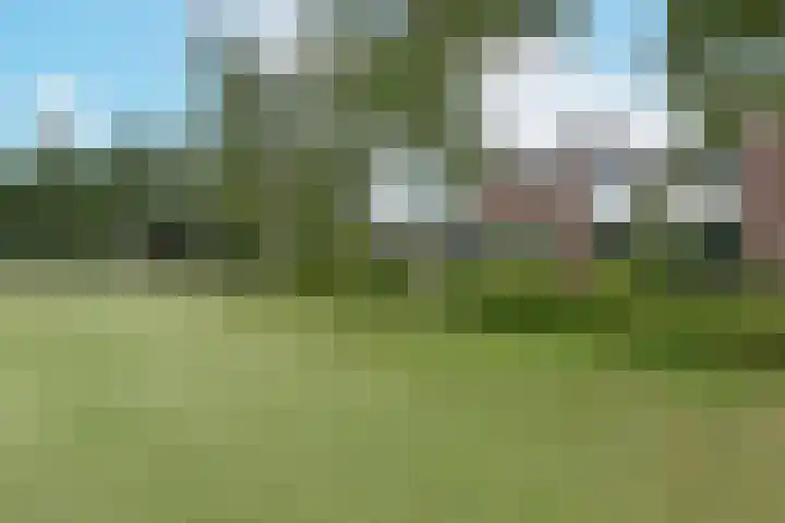 De Hoek 13 Nieuwkoop thumbnail 32