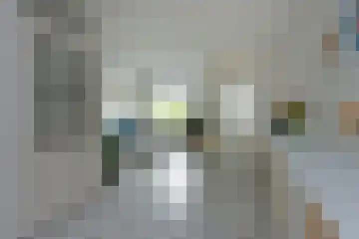 De Hoek 13 Nieuwkoop thumbnail 9