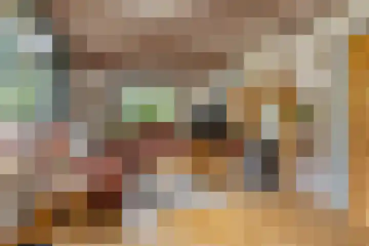 De Hoek 17 Gasteren thumbnail 12