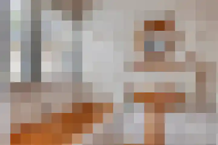 De Hoek 17 Gasteren thumbnail 21