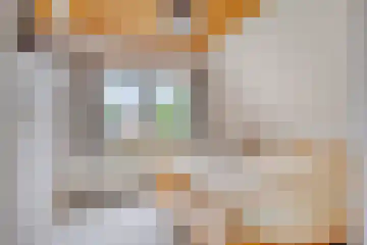 De Hoek 17 Gasteren thumbnail 24