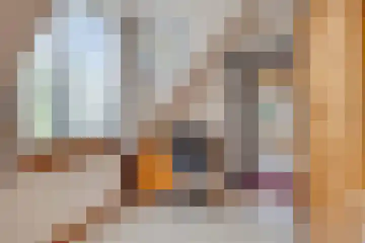 De Hoek 17 Gasteren thumbnail 27