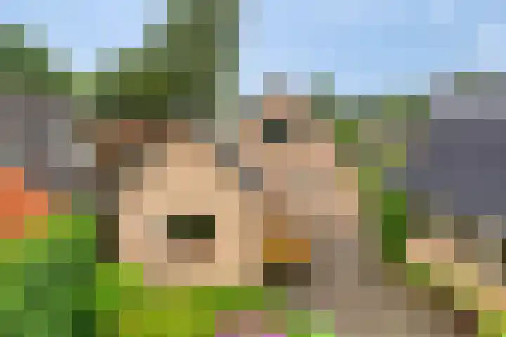 De Hoek 17 Gasteren thumbnail 30