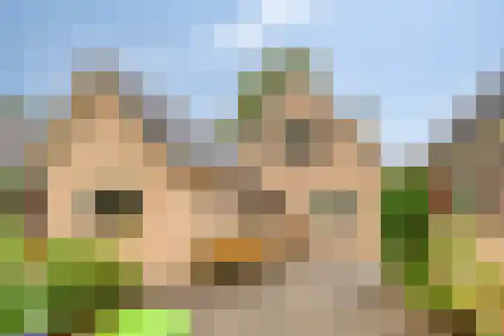 De Hoek 17 Gasteren thumbnail 32