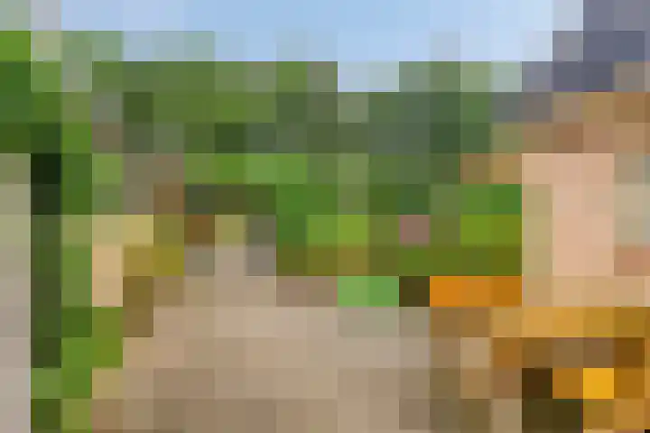 De Hoek 17 Gasteren thumbnail 33