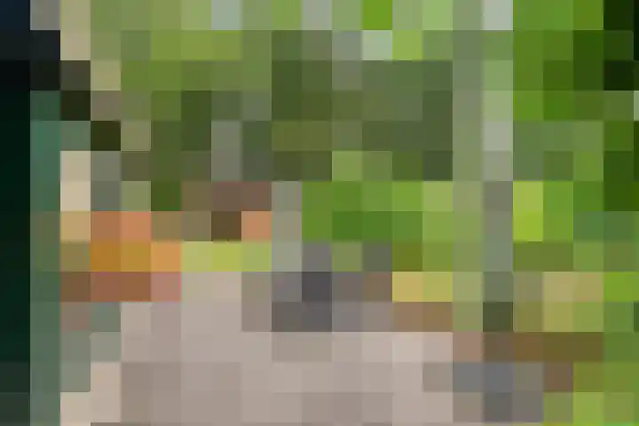 De Hoek 17 Gasteren thumbnail 34