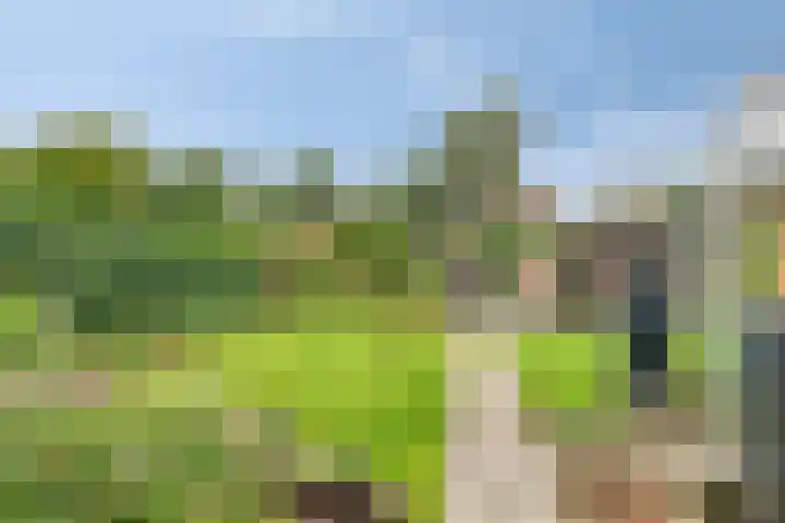 De Hoek 17 Gasteren thumbnail 35