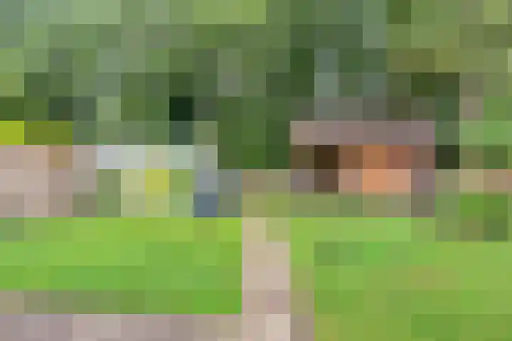 De Hoek 17 Gasteren thumbnail 36