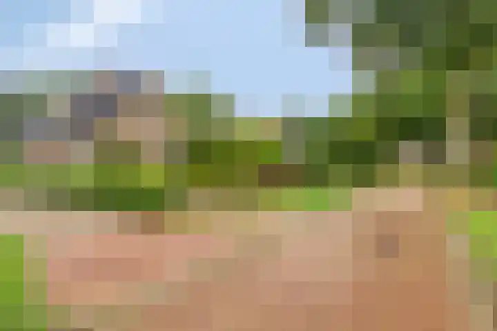 De Hoek 17 Gasteren thumbnail 37