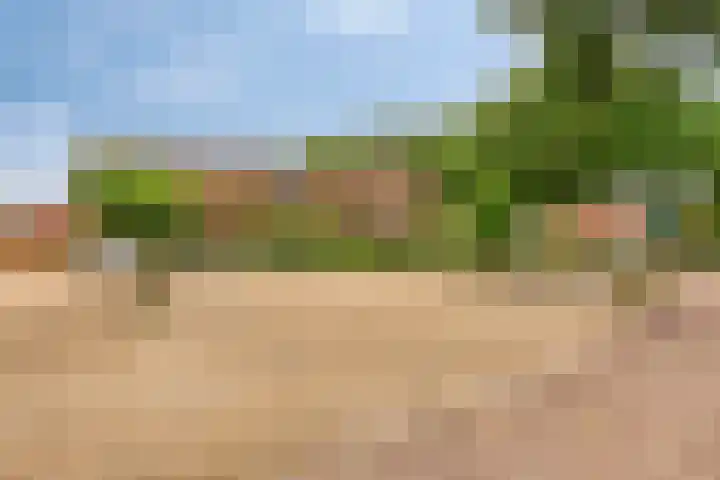 De Hoek 17 Gasteren thumbnail 39